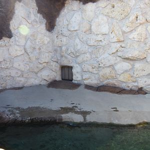 Pacific walrus separation exhibit, 2020-09-02