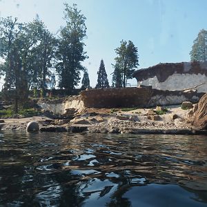 Female polar bear exhibit, 2020-09-02