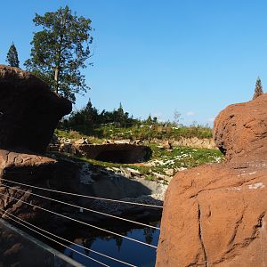 Male Polar bear exhibit, 2020-09-02