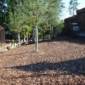 Domestic reindeer paddock, 2020-09-02