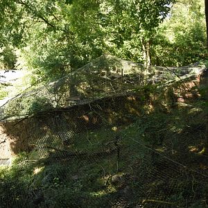 Fishing Cat and Binturong enclosures from above