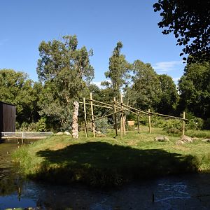 Hanumang Langur island