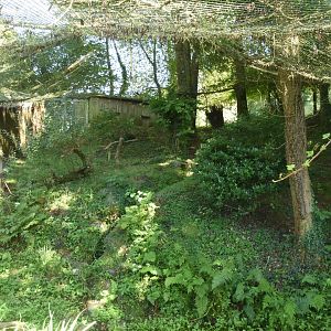Fishing Cat enclosure
