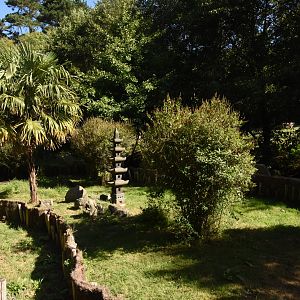 Elongated Tortoise enclosure