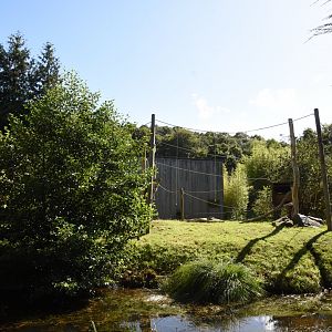 Northern White-cheeked Gibbon enclosure