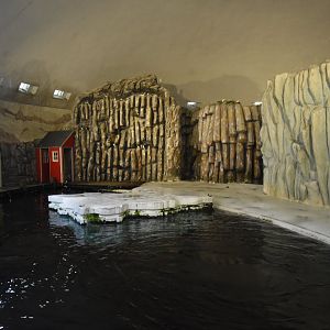 Arctic seal enclosure