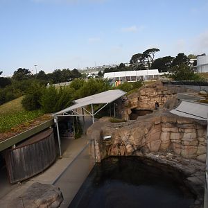 Otter enclosures from above