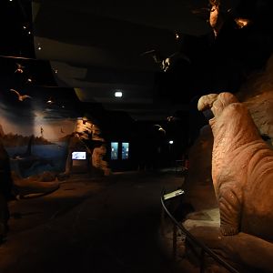 Entrance to polar pavilion