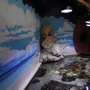 Entrance to tropical pavilion