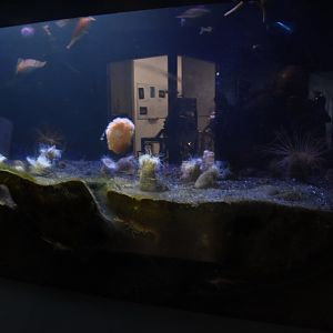 Sea floor tank
