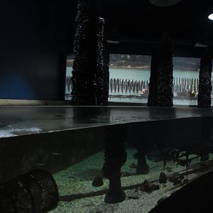 Harbour tank