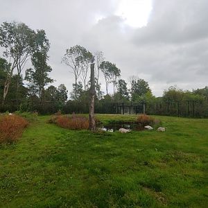 Right Polar bear enclosure