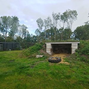 Right Polar bear enclosure