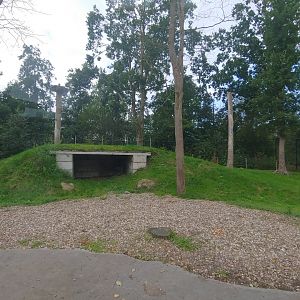 Left Polar bear enclosure