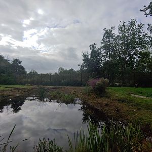 Left Polar bear enclosure