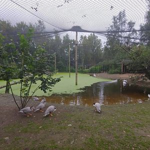One of the aviaries in the zoo