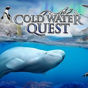 The Cold Water Quest | Zoo Tours