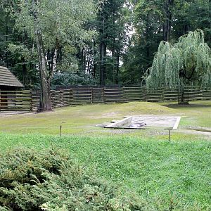 Pygmy Hippo Enclosure