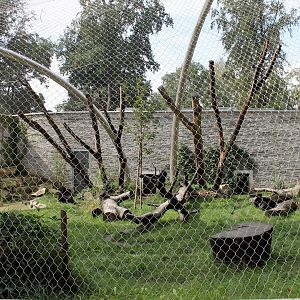 Jaguar Enclosure