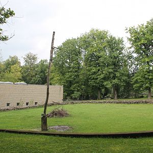 Giraffe Enclosure