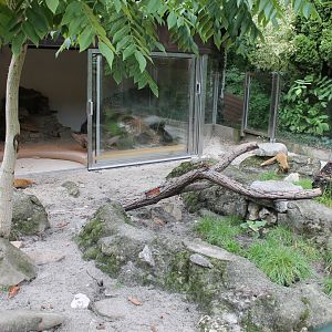 Mongoose Enclosure
