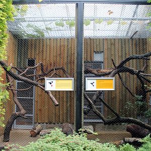 Small Carnivore Enclosures