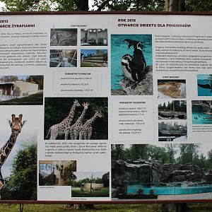 History of the Zoo Display
