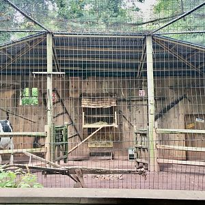 Raptor Ridge - Domestic Chicken/Barn Owl Exhibit