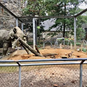 Small Mammal House - Meerkat Maze
