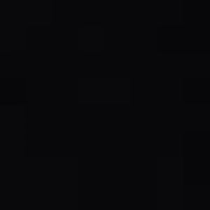 White belted ruffed lemur