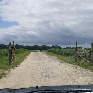 3 Palms Zoo: entrance