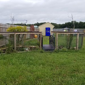 3 Palms Zoo: first exhibit, looking back to entrance