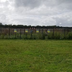 3 Palms Zoo: North America aviary