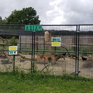 3 Palms Zoo: Asia aviary