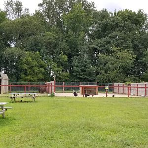 3 Palms Zoo: llamas - turkeys - emus