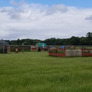 3 Palms Zoo: more exhibits, turtles in foreground