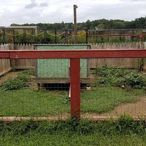 3 Palms Zoo: rabbit, chickens