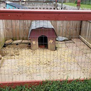 3 Palms Zoo: rabbits; a hole on the left leads to the rabbits in the previous photo