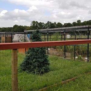 3 Palms Zoo: skunk and groundhog exhibits from side