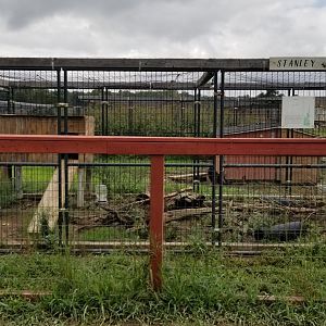 3 Palms Zoo: skunk exhibit