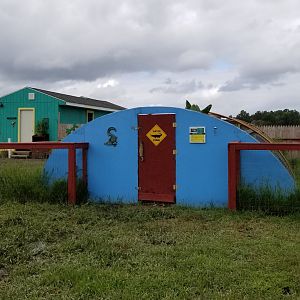 3 Palms Zoo: alligator exhibit