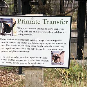 Primate transfer signage