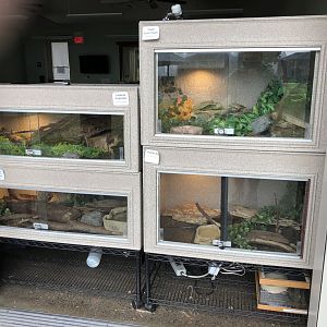 Snake and tarantula exhibits