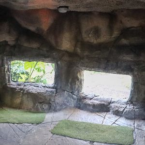 Tiger Island - 'The Lair' Enclosure Viewing Area