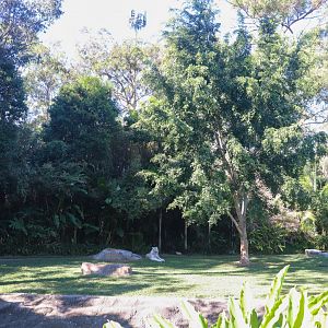 Tiger Island - Main Enclosure