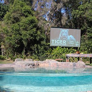 Tiger Island - Main Pool