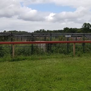 3 Palms Zoo: "Bobby" exhibit (a coyote)