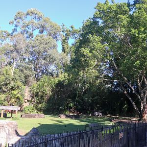 Tiger Island - Main Enclosure