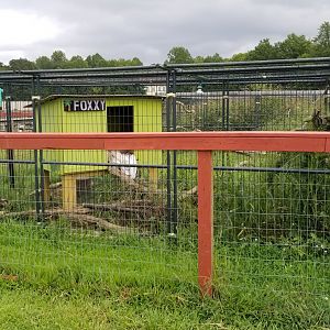 3 Palms Zoo: "Foxxy" exhibit (fox?)