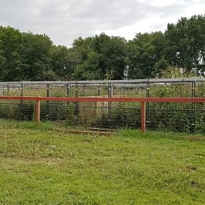 3 Palms Zoo: "silver" fox exhibit